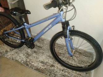 Haro 24in Bike