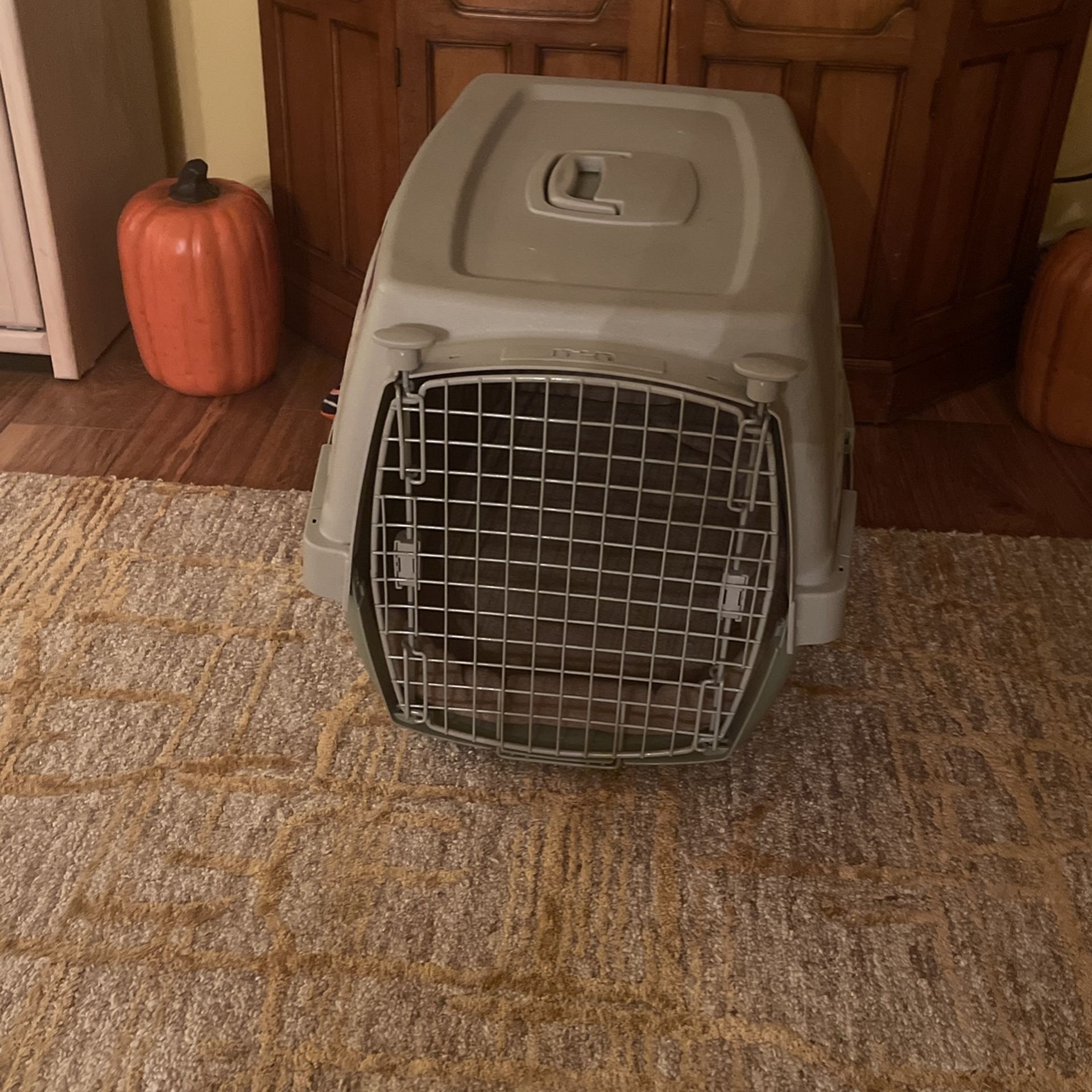 Dog Kennel