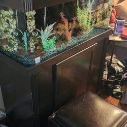 40 Gallon AQUARIUM - FULL SETUP AND FUSH INCLUDED!