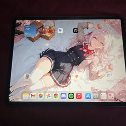 iPad Pro 12.9 4th Gen 256gb