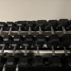Gym Equipment 