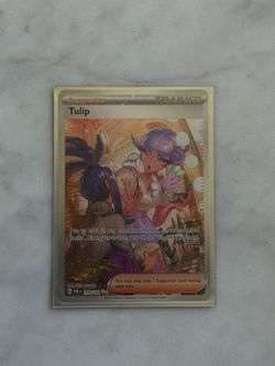 Tulip Paradox Rift 259/182