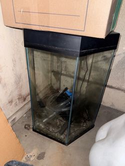 20 gallon fish tank with filter