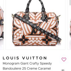 Louis Vuitton Monogram Crafty Speedy Bandouliere