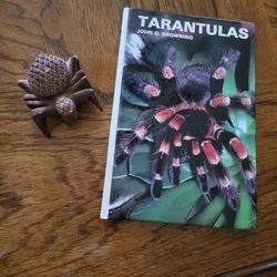 Science education- Tarantulas
