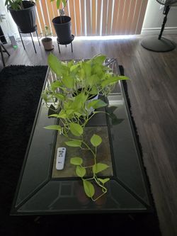We Are Downsizing