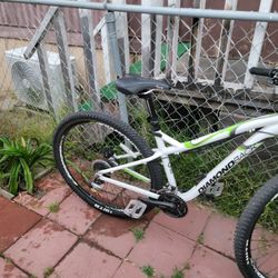 Bici 29