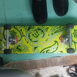 Skate Board 
