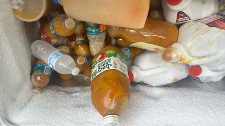 Mermelada de mango fria 5 Galones