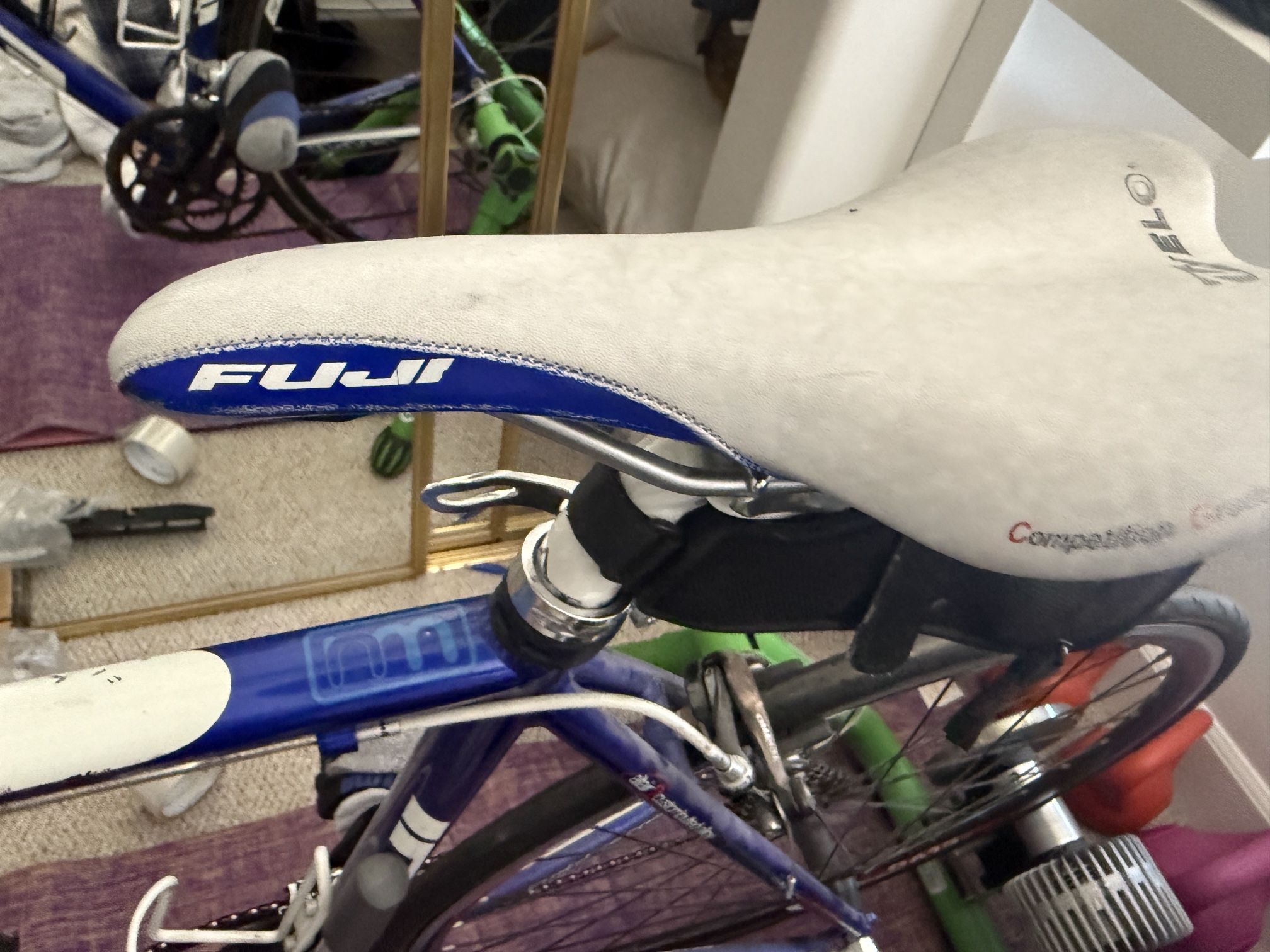 Fuji Road Bike