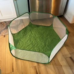 Guinea Pig Rabbit, Small Animal, Playpen