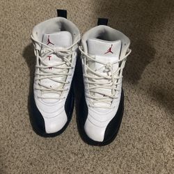 Jordan 12