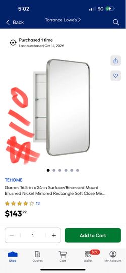 TEHOME Garnes 16.5-in x 24-in Surface/Recessed Mount Brushed Nickel Mirrored Rectangle Soft Close Me..