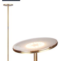 Antique Brass Floor Lamp LED