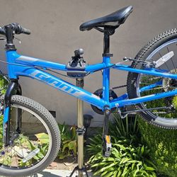 Kids Bike - GIANT XTC Jr 20 Lite
Vibrant Blue