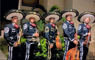 Trompeta mariachi vihuela