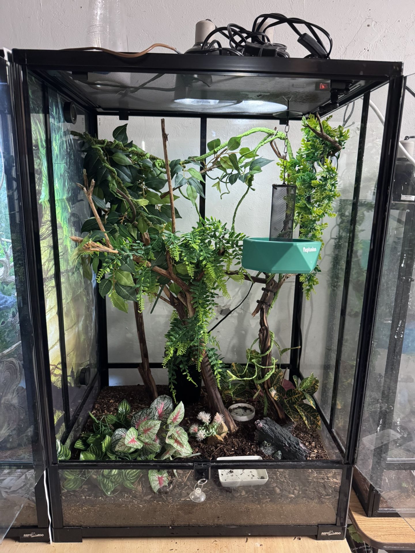 Chameleon enclosure-everything In Photo Included.
