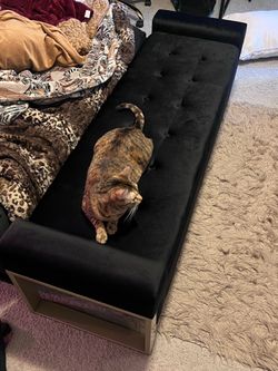Storage bench