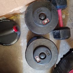 20 Pound Dumbbells