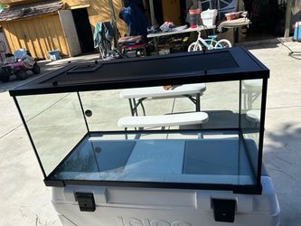 Reptile tank