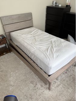 Twin West Elm trundle bed