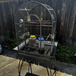 Large Bird Cage - Includes Perches, Bowls, Toys (Clean)