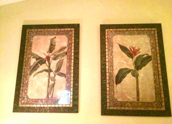 Large Tropical palm plant pictures (2)
