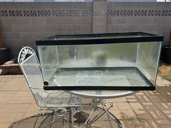 40 Gallon Fish tank
