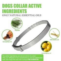 Dog Collar For Flees and TICK 