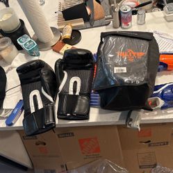 Everlast Boxing gloves 