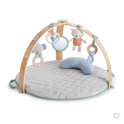 Ingenuity Activity Gym
