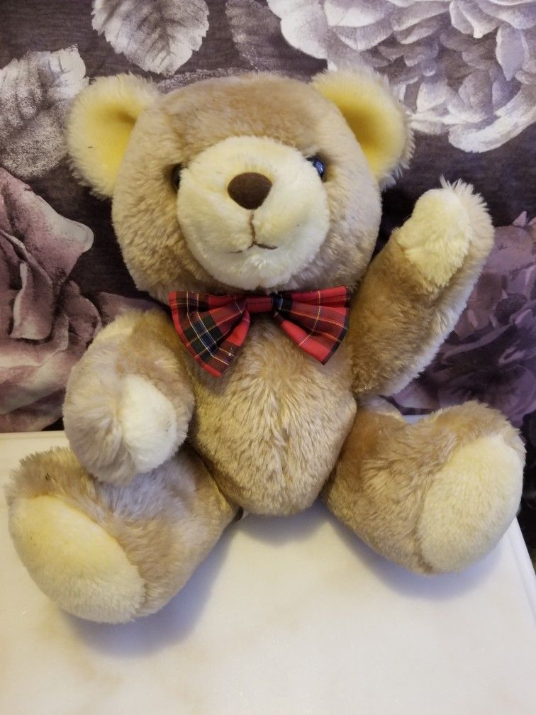 New Teddy Bear