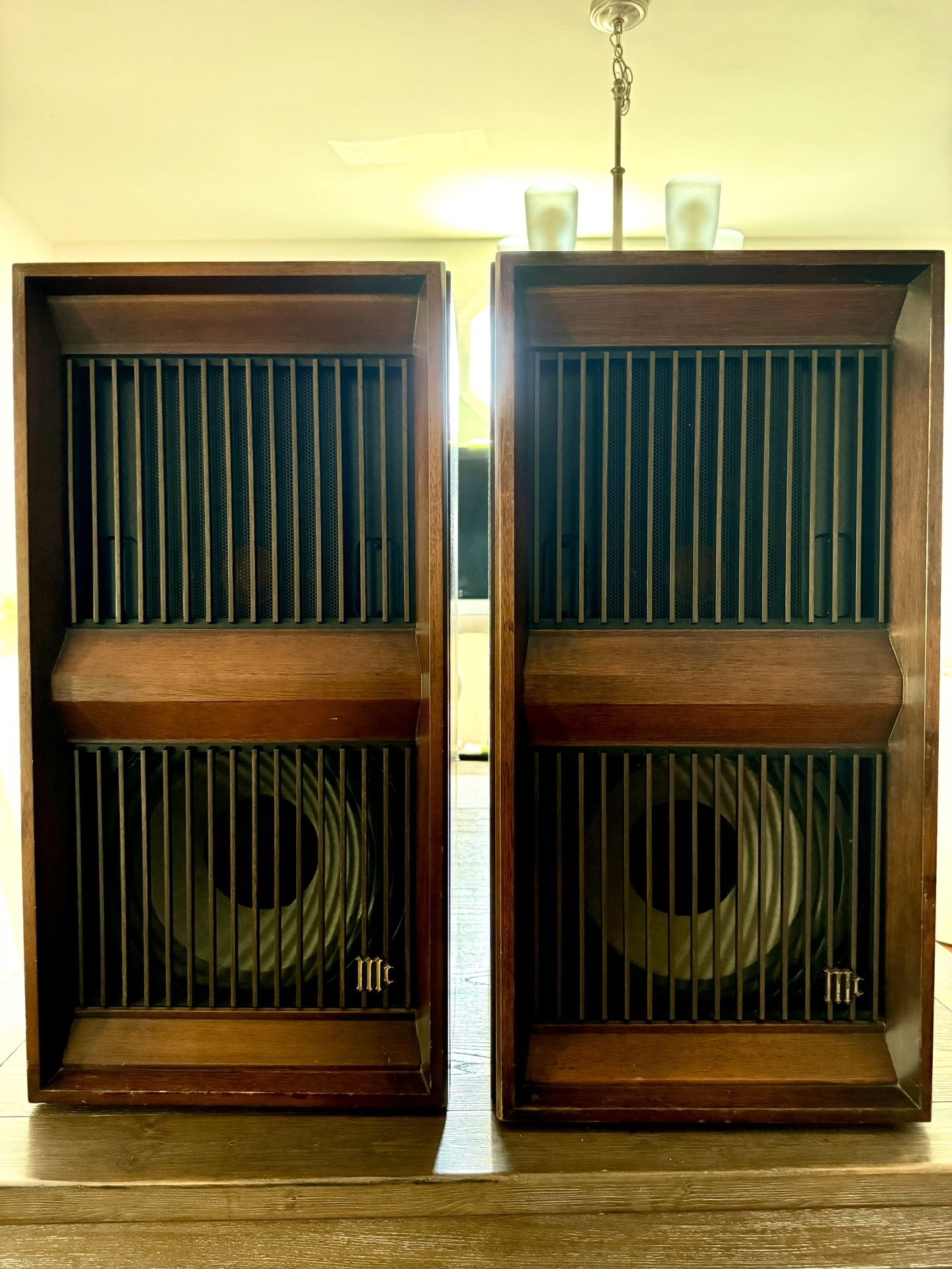 Vintage McIntosh ML - 10C 1973 Loudspeakers