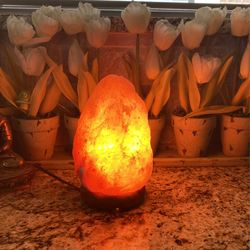 SALT Himalayan LAMP Electric. 9”