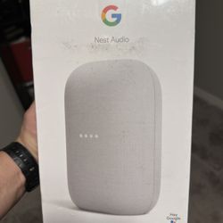 Google Nest Audio