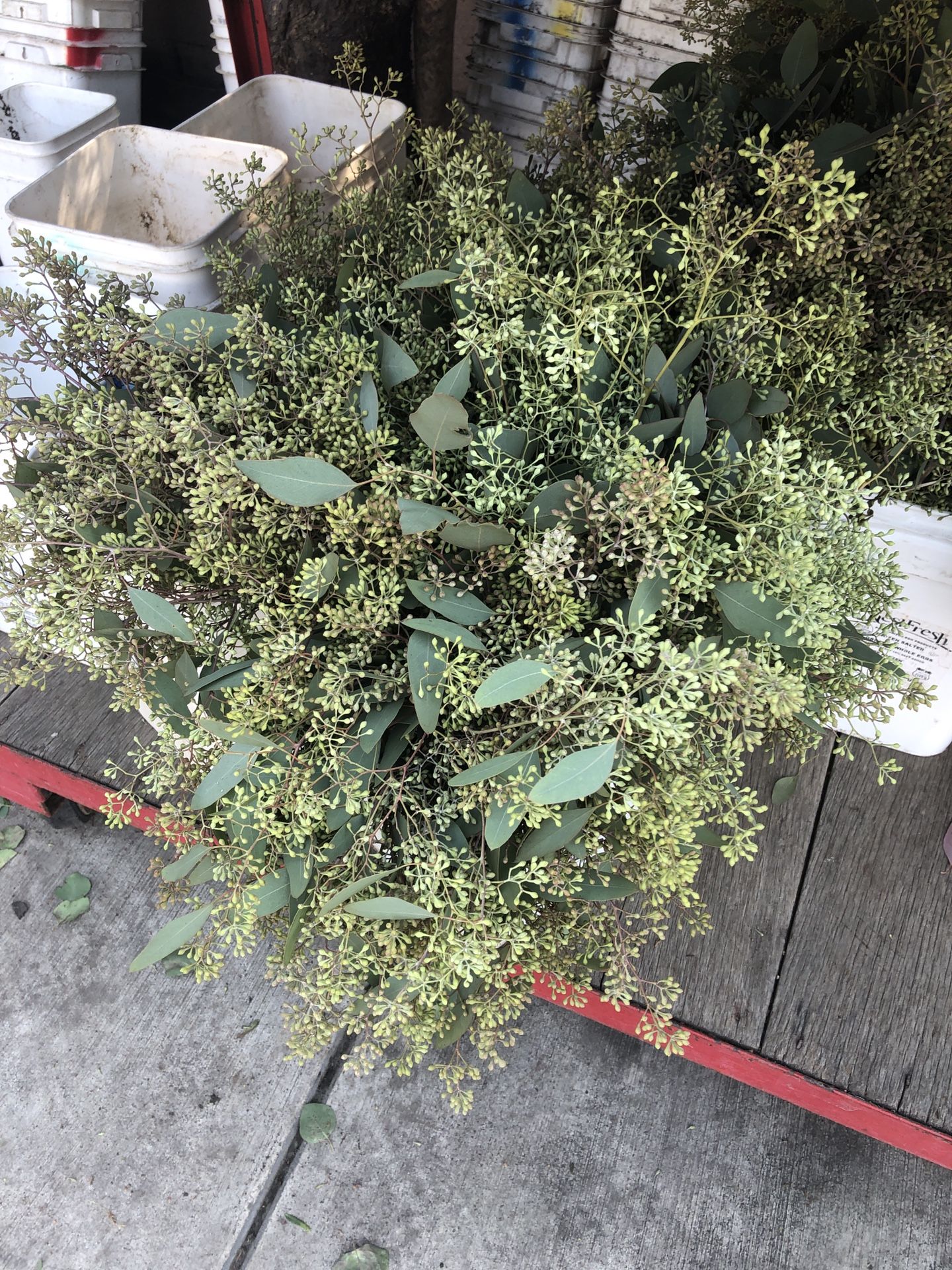 Eucalyptus Bunch Bouquet Decor
