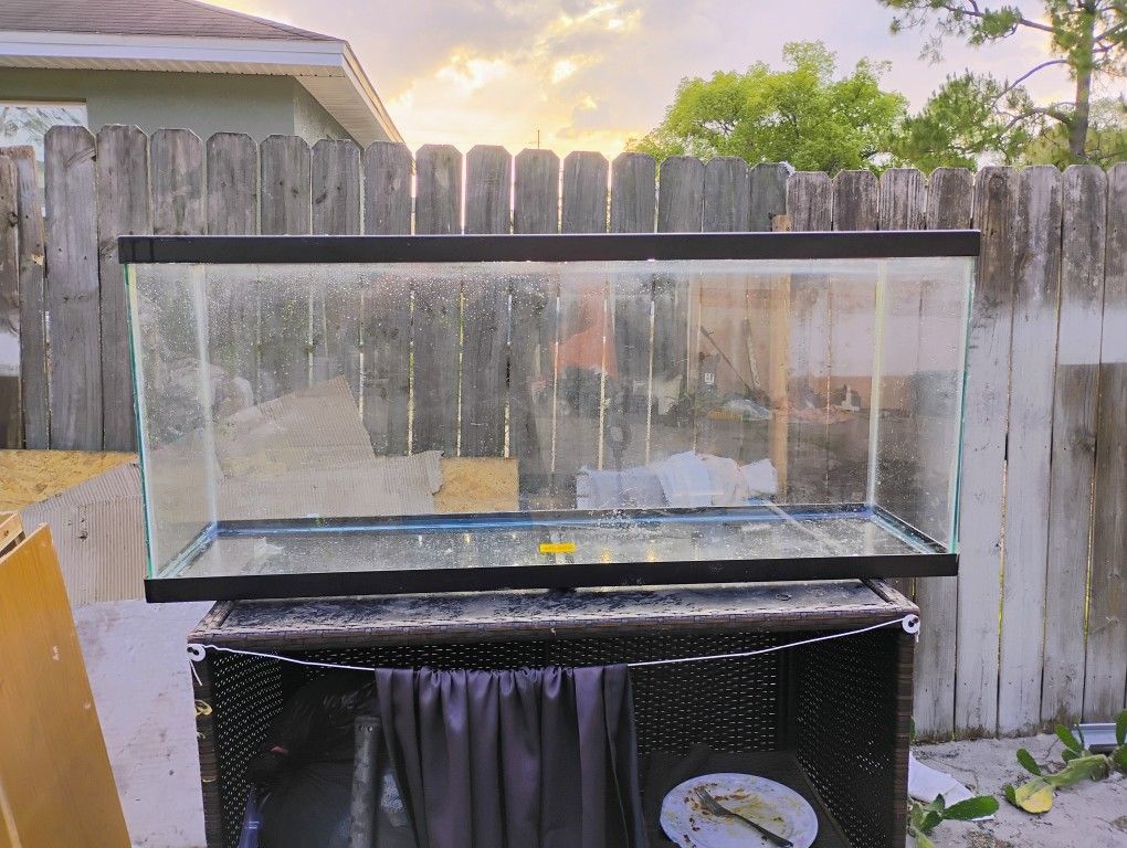 Fish Tank