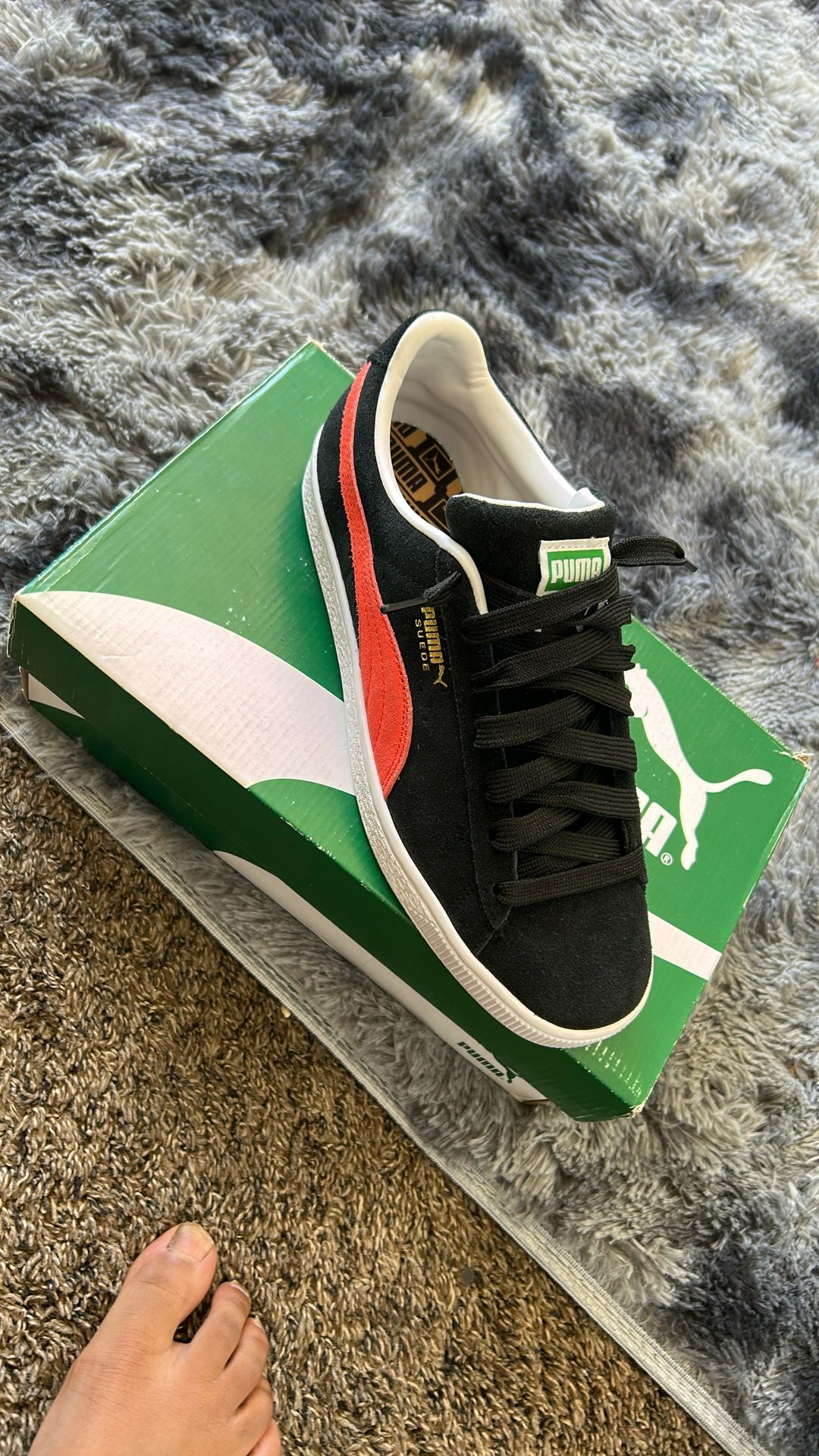 Pumas