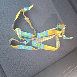 Stagecoach (Saloon) Wristbands 