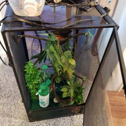 cage for camalion.  It has accessories and some food.  $120.  when the food is sold I will take it out of the refrigerator.