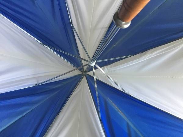 Nice! Large Umbrella Frame - Hand-held - 42 inch