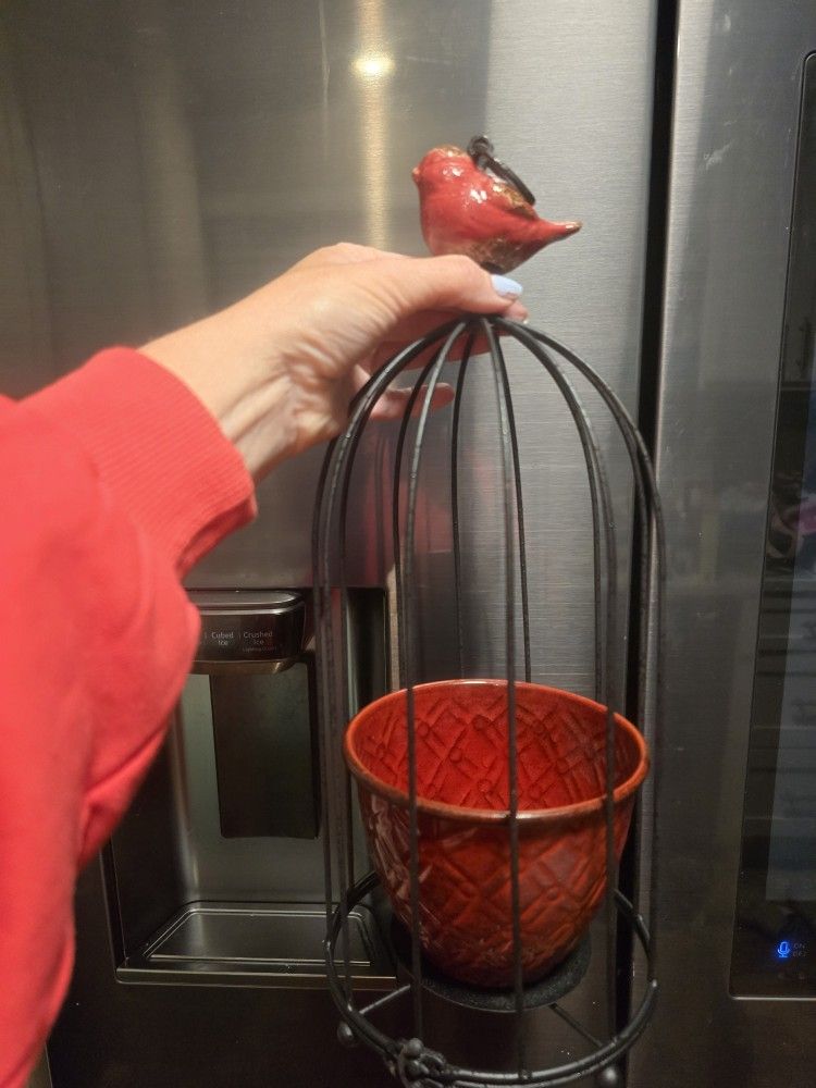 Bird Cage Planter Pot