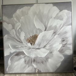 White Flower Picture