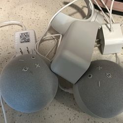 Two Alexa Speakers 