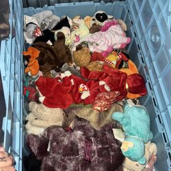 Ty Beanie babies 