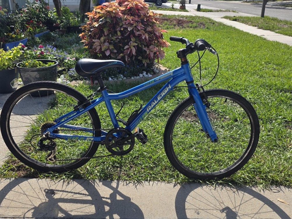 Raleigh Mountain Scout 7-Speed Kid's Bike