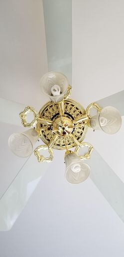 Ceiling light fan
