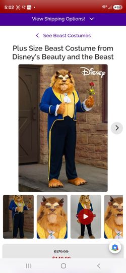 Beauty and The Beast Costume