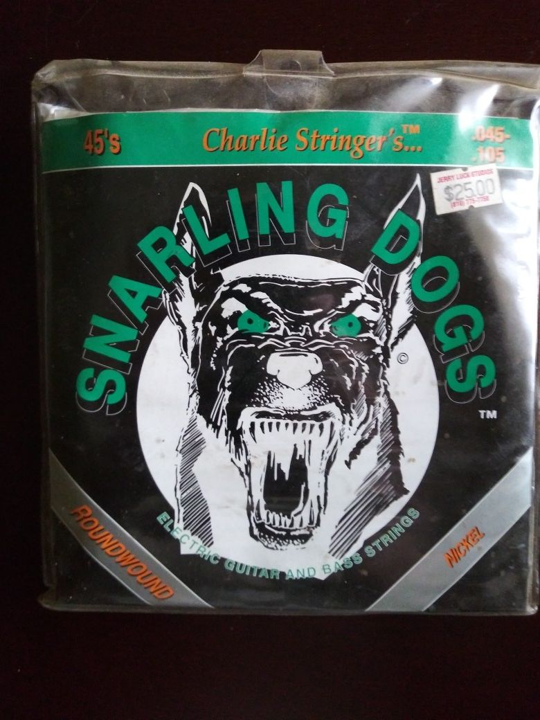 Guitar strings Starling dogs