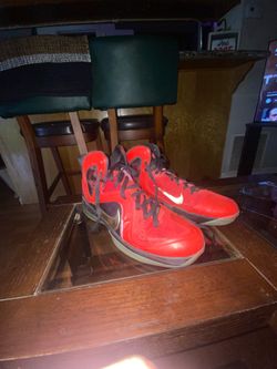 LeBron 10 PS Championship Basketball Shoe. Size 10